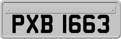 PXB1663