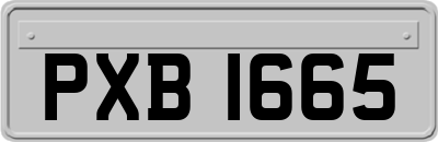 PXB1665