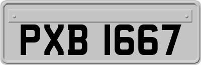 PXB1667