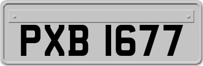 PXB1677