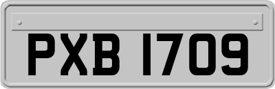 PXB1709