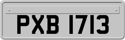 PXB1713