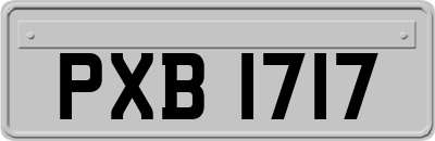 PXB1717