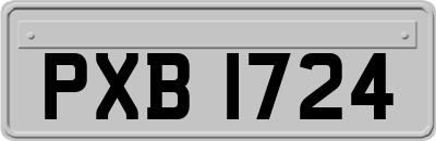 PXB1724