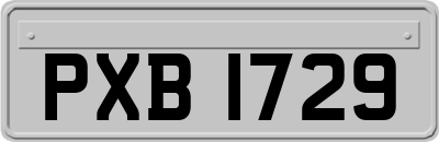 PXB1729