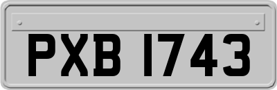 PXB1743