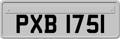 PXB1751