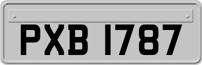 PXB1787