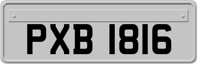 PXB1816