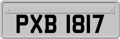 PXB1817