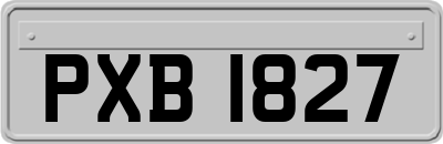 PXB1827