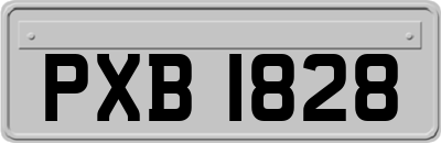 PXB1828