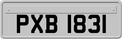 PXB1831