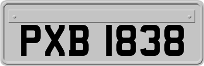 PXB1838