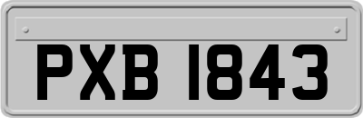 PXB1843