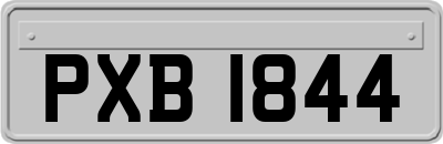 PXB1844