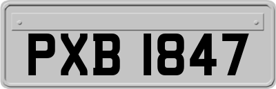 PXB1847