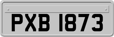 PXB1873