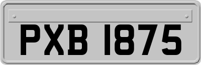 PXB1875