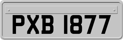 PXB1877