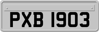 PXB1903