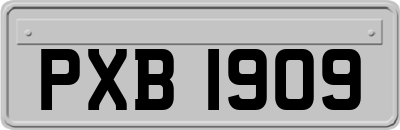 PXB1909