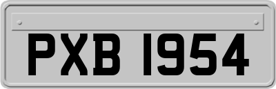 PXB1954