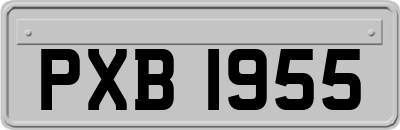 PXB1955