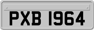 PXB1964