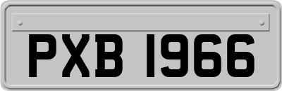 PXB1966