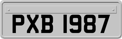 PXB1987