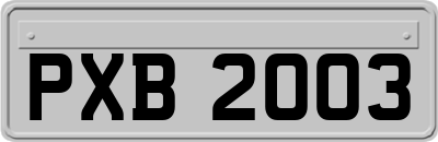 PXB2003