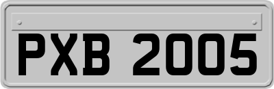 PXB2005