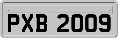 PXB2009