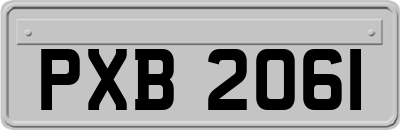 PXB2061