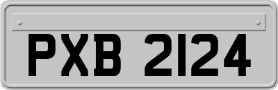 PXB2124