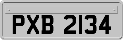 PXB2134