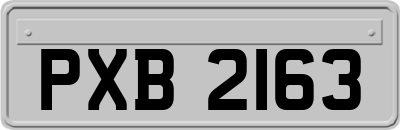 PXB2163