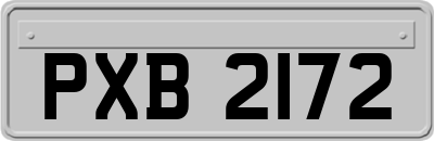 PXB2172