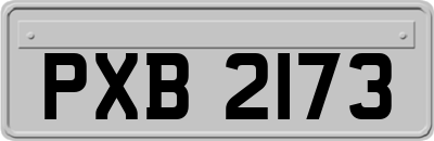 PXB2173