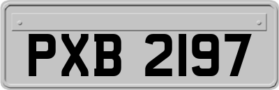 PXB2197