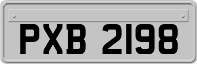 PXB2198