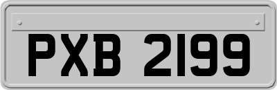 PXB2199