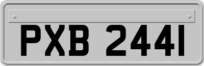 PXB2441