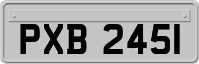 PXB2451