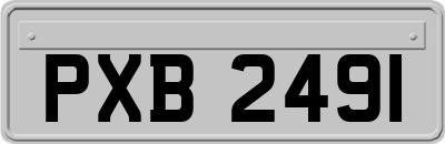 PXB2491