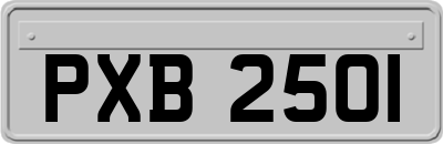 PXB2501