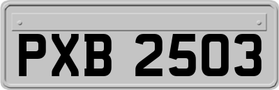 PXB2503