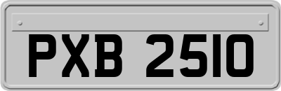 PXB2510