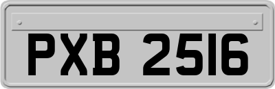 PXB2516